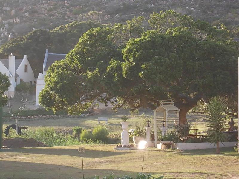 0 Bedroom Property for Sale in Vakansieplaas Western Cape